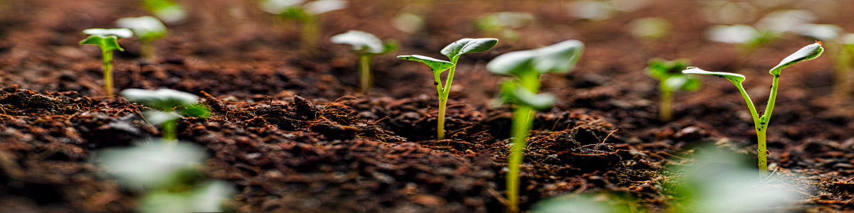 看不见的舒适 看得见的效果